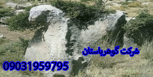 اردک یا غاز در دفینه یابی و گنج یابی