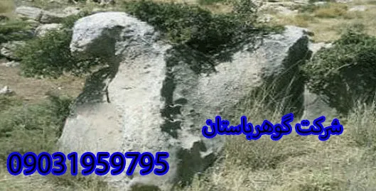 اردک یا غاز در دفینه یابی و گنج یابی