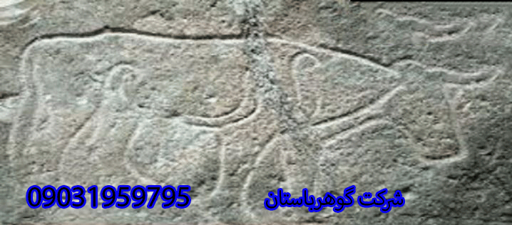 مفهوم نشانه ماهی و گاو در گنج یابی