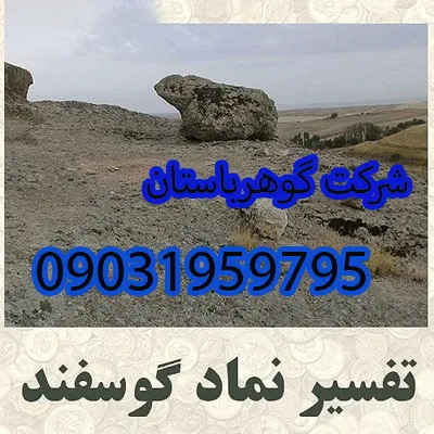 تفسیر نماد گوسفند در دفینهیابی