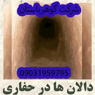 تفسیر دالانها در گنجیابی