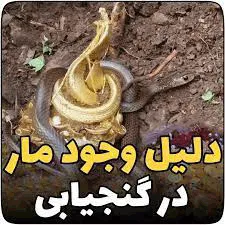 دور کردن مارهای خوابیده روی گنج