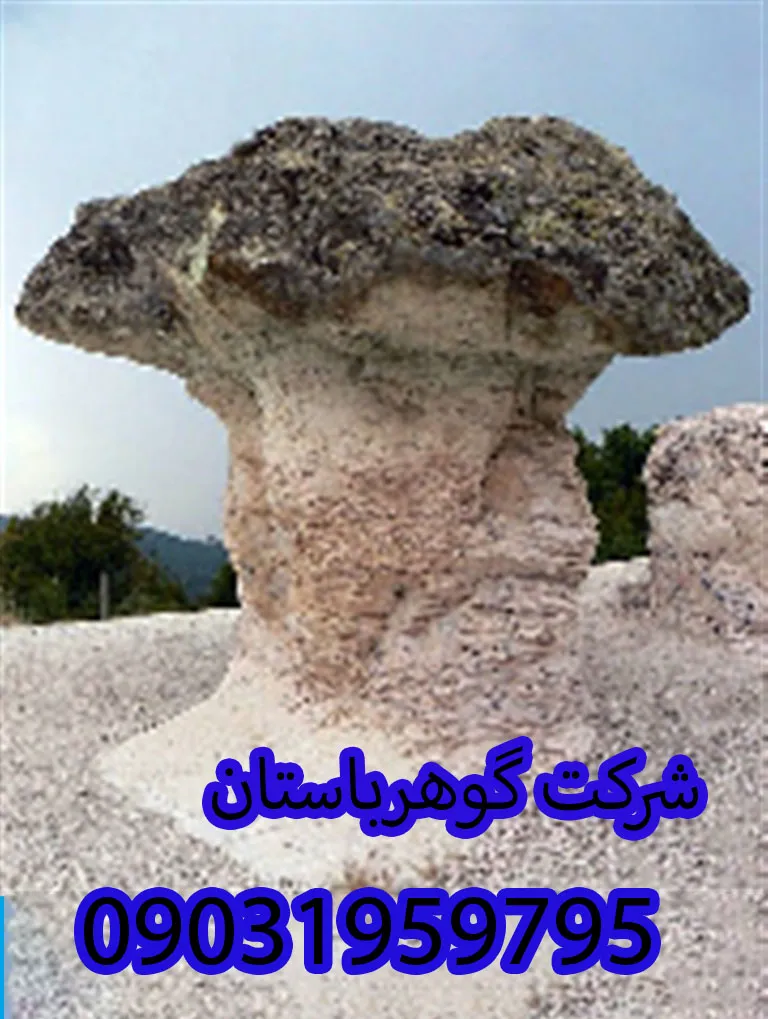 بررسی سنگ قارچ در گنجیابی