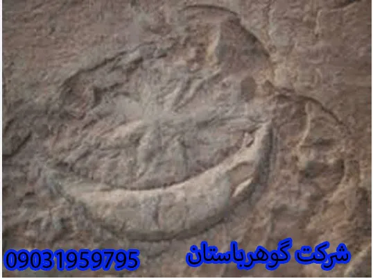 تفسیر نشانه ماه و ستاره در گنجیابی