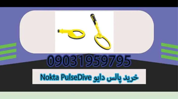 خرید پالس دایو Nokta PulseDive