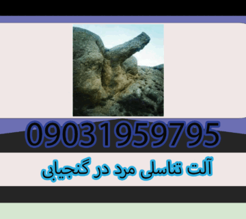 نماد آلت تناسلی مرد در گنجیابی