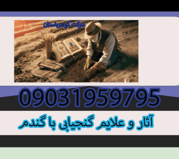 آثار و علایم گنجیابی با گندم