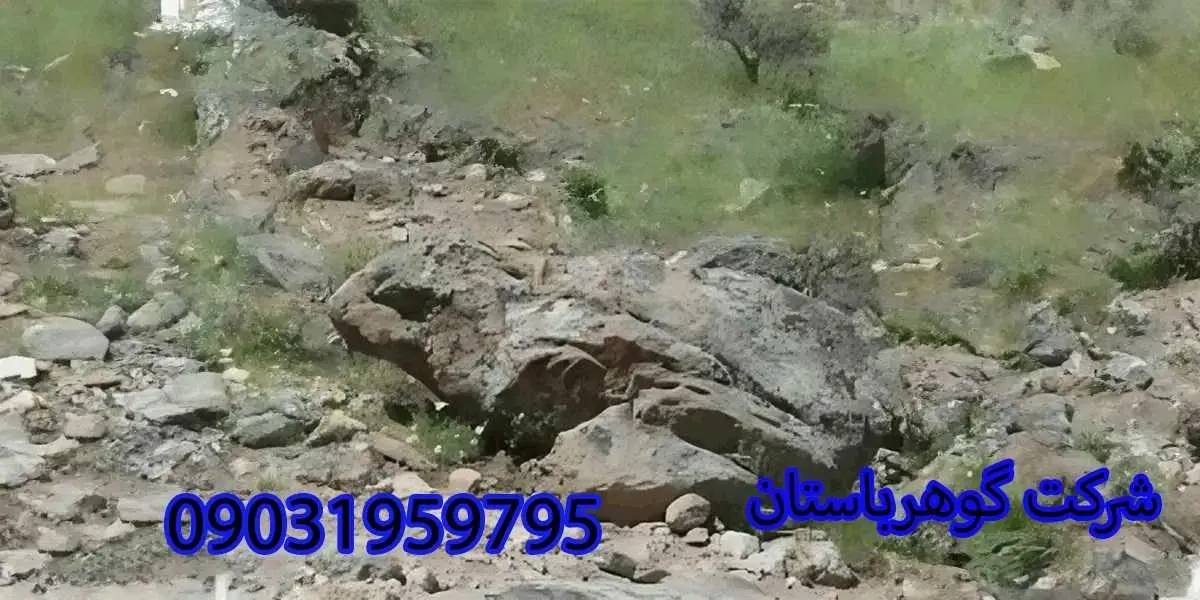 تفسیر فاصله سنگ قورباغه تا دفینه